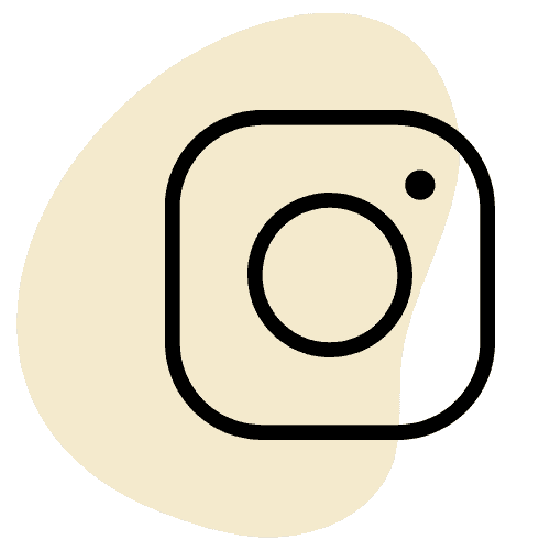 Icon web instagram